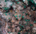 9cm GEM BROCHANTITE CHRYSOCOLLA MALACHITE DRUZY QUARTZ DIOPTASE ? CHILE ZB27