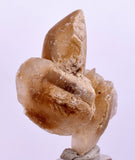 3.6 cms DESERT ROSE SELENITE CRYSTAL PERU GOLDEN SUISEKI TRANSLUCENT TB38