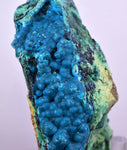 8.2cms QUARTZ CHRYSOCOLLA BOTRYOIDAL TENTADORA MINE PERU MINERAL SPECIMEN CB121