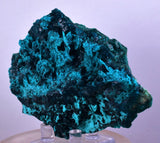 9.2cm GEM BLUE MALACHITE CHRYSOCOLLA PERU ROSETTE BOTRYOIDAL CRYSTAL GRAPE UB128