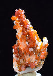 3.1cm VANADINITE CRYSTAL BARITE MIBLADEN MOROCCO MINIATURE MINERAL SPECIMEN WB16