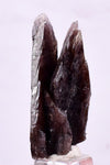 3.6cm GEM AXINITE TWIN CRYSTAL  PERU SUPER SHINY MINERAL SPECIMEN AB35