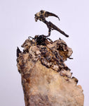 9.5cm NATIVE SILVER WIRES PERU UCHUCCHACUA MINE PYRITE PROUSTITE MANGANITE HB163