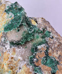 14cms GEM ATACAMITE INSIDE SELENITE CRYSTAL LILY MINE 2000 DISCOVERY PERU AB183