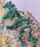14cms GEM ATACAMITE INSIDE SELENITE CRYSTAL LILY MINE 2000 DISCOVERY PERU AB183