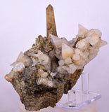 11cms CALCITE TOOTH DOG WITH QUARTZ CRYSTALS PERU SHINY MINERAL SPECIMEN QB103