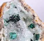 8.5cms ATACAMITE DRUZY MALCHITE CHRYSOCOLLA LILY MINE PERU MINERAL AB141