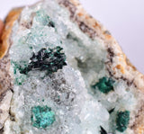 8.5cms ATACAMITE DRUZY MALCHITE CHRYSOCOLLA LILY MINE PERU MINERAL AB141