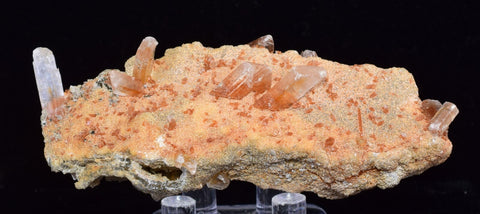 8cms LIMONITE IN SELENITE CRYSTAL COLLECTOR PERU MINERAL SPECIMEN TB104