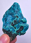 6.4cm GEM BLUE MALACHITE PERU TRANSLUCENT CHRYSOCOLLA BOTRYOIDAL CRYSTAL UB173