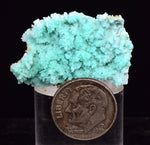 3.4cm SHATTUCKITE ON SELENITE PICKERINGITE CRYSTALS COLOR PERU CHRYSOCOLLA TB70