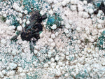 27cms GEM ATACAMITE MALACHITE HALLOYSITE UNKNOWN CRYSTALS CHILE AB247
