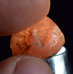 LOT 20grams GEM RED RHODOCHROSITE ROUGH ORTIZ PERU MINERAL SPECIMEN RB541