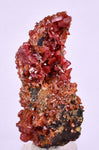 5.8cm VANADINITE HOLLANDITE CRYSTAL MIBLADEN MOROCCO  MINERAL SPECIMEN WB24