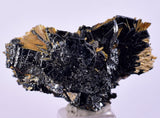 3.2cms GOLDEN RUTILE HEMATITE SPRAY NEEDLES CRYSTALS TITANIUM BAHIA BRAZIL  XB03