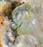 7.9cms GEM ATACAMITE INSIDE SELENITE CRYSTAL LILY MINE 2000 DISCOVERY PERU AB158