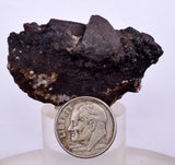 4.5cms ALABANDITE CRYSTALS PERU GEM UCHUCHACCUA MINE MINERAL SPECIMEN HB153