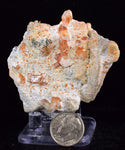 6.5cms LIMONITE IN SELENITE CRYSTAL COLLECTOR PERU MINERAL SPECIMEN TB103