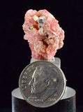 2cms RHODOCHROSITE FLUORITE PYRITE CRYSTAL RHOMBOHEDRAL SUPER MINIATURE RB310