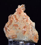 5.5cms LIMONITE IN SELENITE CRYSTAL COLLECTOR PERU MINERAL SPECIMEN TB106