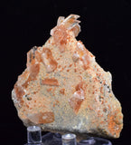 5.5cms LIMONITE IN SELENITE CRYSTAL COLLECTOR PERU MINERAL SPECIMEN TB106