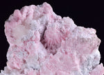 13cms RHODOCHROSITE ROSETTE PYRITE CRYSTALS PERU MINERAL SPECIMEN RB581
