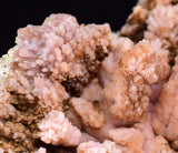 9.9cms ROSE DRUZY QUARTZ BRIGHT CRYSTALS CATHEDRAL BOTRYOIDAL PERU NEW FIND QB41