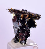 1.6cms GOLDEN RUTILE HEMATITE SPRAY NEEDLES CRYSTALS TITANIUM BAHIA BRAZIL  XB09