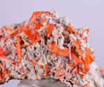 3.1cms GEM RED CROCOITE CRYSTALS CLUSTER MATRIX ADELAIDE MINE AUSTRALIA ZB35