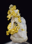 0.6 cms UNIQUE NATIVE GOLD INCAS PYRITE CUBES PERU QUARTZ CRYSTALS LB125