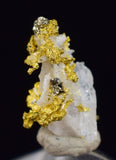 0.6 cms UNIQUE NATIVE GOLD INCAS PYRITE CUBES PERU QUARTZ CRYSTALS LB125