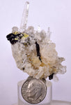 6.4cms HUBNERITE QUARTZ CRYSTALS MINERAL SPECIMEN COLLECTOR PERU MB69