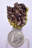2.7cms PREMIUM AXINITE CRYSTALS PERU AESTHETIC COLLECTOR AB201