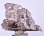 2.9cm GEM AXINITE CRYSTAL  PERU SUPER SHINY MINERAL SPECIMEN AB100