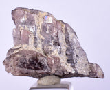 2.9cm GEM AXINITE CRYSTAL  PERU SUPER SHINY MINERAL SPECIMEN AB100