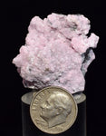 3.4cms RHODOCHROSITE ROSETTE PERU PINK CRYSTALS HUANZALA MINE MINERAL RB614