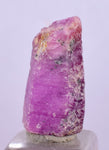 10.5cts RUBY CRYSTAL CORUNDUM NATURAL RED TANZANIA MINERAL SPECIMEN YB15