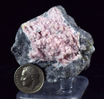4.7cms RHODOCHROSITE ROSETTE PERU PINK CRYSTALS HUANZALA MINE MINERAL RB567