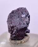 0.8cms PROUSTITE RED RUBY SILVER PERU UCHUCCHACUA MINE MINERAL SPECIMEN HB210