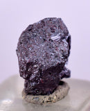 0.8cms PROUSTITE RED RUBY SILVER PERU UCHUCCHACUA MINE MINERAL SPECIMEN HB210