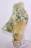 10cms ATACAMITE SELENITE CALCITE CRYSTAL LILY MINE 2000 DISCOVERY PERU TB82