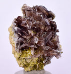 2.7cms PREMIUM AXINITE CRYSTALS PERU AESTHETIC COLLECTOR AB201