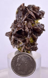 3.5cms PREMIUM AXINITE  QUARTZ CRYSTALS PERU AESTHETIC COLLECTOR AB196