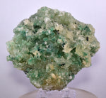 8.4cms ATACAMITE CALCITE DRUZY CHRYSOCOLLA MALACHITE LILY MINE PERU DB72