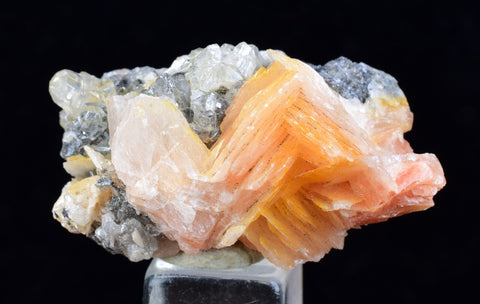 3.2cms CERUSSITE BARITE GALENA CRYSTALS MOROCCO MINERAL SPECIMEN KB58