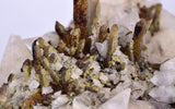 11cms CALCITE TOOTH DOG WITH QUARTZ CRYSTALS PERU SHINY MINERAL SPECIMEN QB103