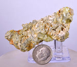 6.7cms YELLOW APATITE CRYSTALS IMILCHIL MOROCCO MINERAL SPECIMEN AB238