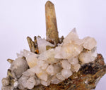 11cms CALCITE TOOTH DOG WITH QUARTZ CRYSTALS PERU SHINY MINERAL SPECIMEN QB103