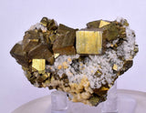 5.1cms PYRITE CHALCOPYRITE CUBIC QUARTZ  PERU SHINY CRYSTALS MINERAL MB109