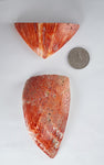 2 PIECES OF SPINY OYSTER POLISHED PERU JEWELRY PENDANT BB134